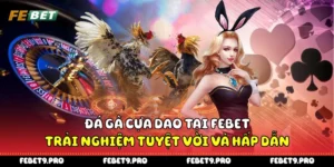 Đá Gà Cựa Dao Tại Febet - Trải Nghiệm Tuyệt Vời Và Hấp Dẫn