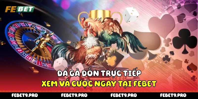 Đá Gà Đòn Trực Tiếp - Xem Và Cược Ngay Tại Febet