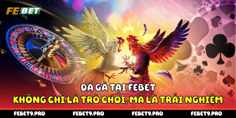 Đá gà tại Febet - không chỉ là trò chơi, mà là trải nghiệm
