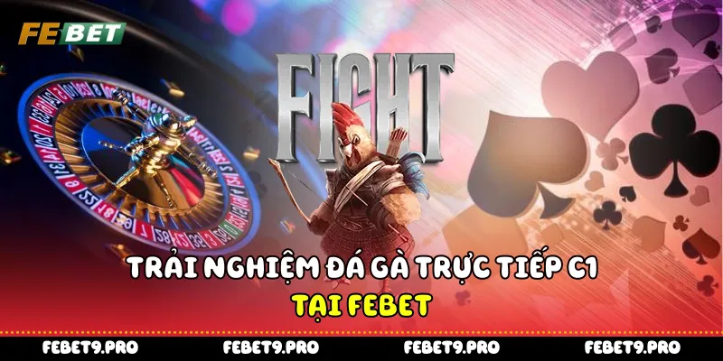 Trải nghiệm đá gà trực tiếp C1 tại Febet