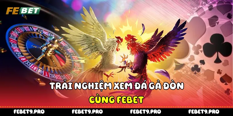 Trải nghiệm xem đá gà đòn cùng Febet